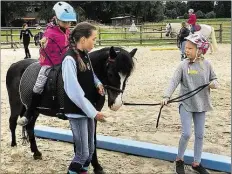  ??  ?? Wie klappt das mit dem Führen noch mal am besten? In Teams kümmern sich die Kinder um die Ponys.