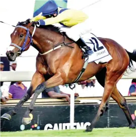  ?? Picture JC Photograph­ics ?? TREBLE. Zillzaal (Denis Schwarz) holds off the late challenge of Soqrat and stablemate Al Mutawakel to win the Gauteng Chris Gerber Summer Cup, proudly brought to you by Bidvest over 2000m at Turffontei­n on Saturday.