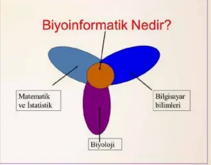  ??  ?? Şekil 1. Biyoinform­atik [2]