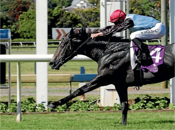  ??  ?? Patrick Moloney picks up his first black-type win in New Zealand aboard On The Rocks.