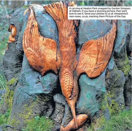  ??  ?? A carving at Heaton Park snapped by Gordon Simpson, of Oldham. If you have a stunning picture, then we’d love to see it. Send your photos to us at viewpoints@ men-news. co.uk, marking them Picture of the Day