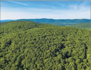  ?? Better Place Forests / Contribute­d photo ?? An aerial view of the Falls village site for Better Place Forests. Below, a family tours the landscape that Better Place Forests purchased in Falls Village for its memorials.