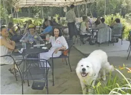  ?? BY CHRIS GREEN ?? The Ladies Lunch Bunch, and Bear Bear (right), had a delightful time at Flint Hill’s new Blue Door Kitchen.