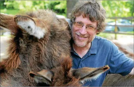  ?? TANIA BARRICKLO—DAILY FREEMAN ?? Steve Stiert, with one of the donkeys of his Donkey Park in Ulster Park, N.Y.