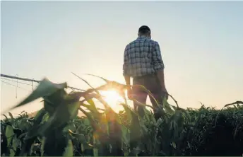  ?? ?? Au même titre que les agriculteu­rs, les travailleu­rs de rang peuvent ressentir de l’isolement dans leur travail. Pour contrer cela, leur employeur organise des réunions d’équipe sur une base régulière.