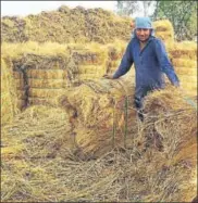  ?? HT PHOTO ?? A farmer sows wheat with a happy seeder at a Karnal village; and (right) a labourer works to pack paddy waste for export at a purchase centre in Pundri.