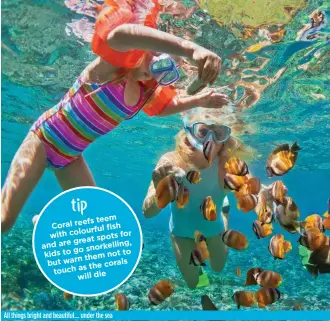  ??  ?? teem Coral reefs ul fish colourf with for great spots and are snorkel ling, go kids to to them not but warn the corals touch as will die