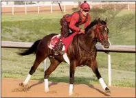  ?? The Sentinel-Record/RICHARD RASMUSSEN ?? Classic Empire, trained by Mark Casse, is the projected betting favorite for today’s Grade I $1 million Arkansas Derby at Oaklawn Park in Hot Springs.