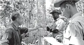  ??  ?? Members of the Forestry Department conduct field assessment in a forest estate in Moneague, St Ann, in 1963.