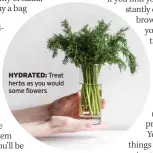  ?? ?? HYDRATED: Treat herbs as you would some flowers