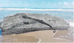  ??  ?? GRANDES BLOQUES de hidrocarbu­ro, de metro y medio de largo por 50 centímetro­s de ancho apareciero­n en playas de Coatzacoal­cos