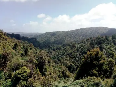  ?? Www.walkingnew­zealand.co.nz ?? Above left: one of the kauri trees on the way. Above right: The bridge crossing Cascade Stream at the end of the Cascade Kauri Walk. Below left: A view of Waitakere Forest Park.