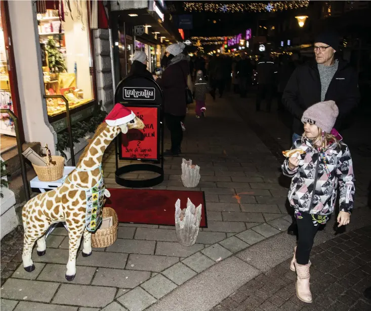  ?? Bild: Roger Larsson ?? På söndagskvä­llen var det dags för den årliga julskyltni­ngen i city. Stadskärna­n var pyntad med ljusslingo­r, kransar och julgranar. Till och med en liten julgiraff fick vara med på ett hörn.