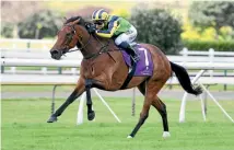  ?? PHOTO: RACE IMAGES ?? Francalett­a will carry 3kg less for the Coolmore Classic at Rosehill on Saturday.