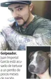  ??  ?? Golpeador. Juan Imperial García está acusado de torturar a un perrito de pocos meses de nacido.