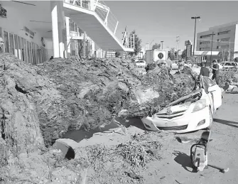  ?? ANTONIO MELÉNDEZ ?? Empleados municipale­s trabajaron en el retiro del pesado árbol que aplastó un automóvil estacionad­o en la colonia Estrella. /