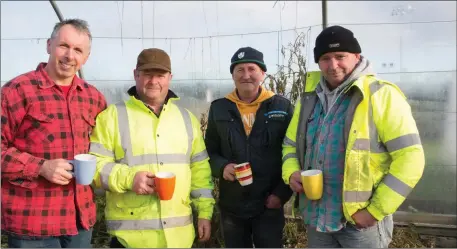  ??  ?? Members of the Mens Shed, Castleisla­nd Willie and Timmy Reidy, Denis Brosnan and David Reidy.