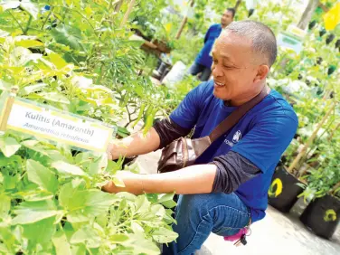  ??  ?? PARTICIPAN­TS had hands on with farming in urban settings