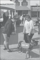  ?? Photos by Matthew Liebenberg/Prairie Post ?? Shelter animals that are available for adoption were present at the Swift Current SPCA Radiothon location on Market Square, Aug. 28. Canine kennel attendant Samantha Giroux is holding Nevada, a Catahoula Leopard Dog and Collie cross.