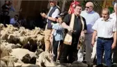  ??  ?? Le traditionn­el cortège de moutons béni par le curé