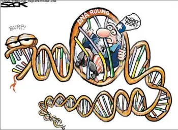  ?? STEVE SACK/MINNEAPOLI­S STAR-TRIBUNE ??