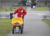  ??  ?? Using a wheelbarro­w, Nick Spini carts off leaves and debris as he helps beautify the campus at Fairfield High School during the annual National Day of Service. Spini, who teaches Biology and Sports Medicine at the school was part of a large volunteer crew that spread out around the campus on Monday.