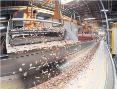  ??  ?? Tobacco leaves fall on a conveyor belt at the France Tabac plant on Sept 20.