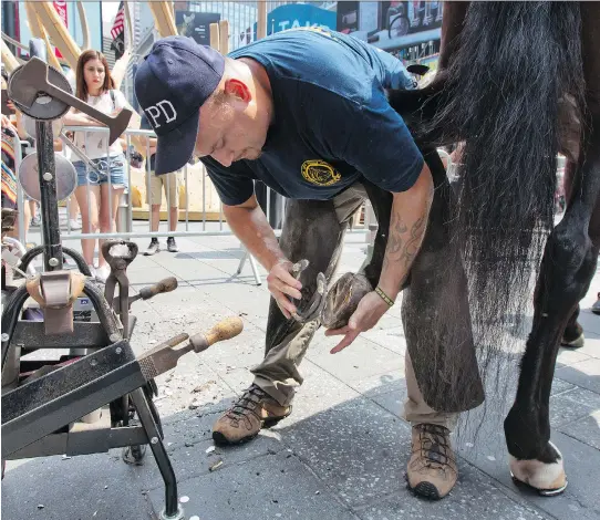 ?? PHOTOS: RICHARD DREW/THE ASSOCIATED PRESS ?? Amid the onlookers in New York’s Times Square, New York City Police Department farrier Marcus Martinez Jr. shoes Mounted Unit horse McQuade, using tools from a mobile workshop. “I fell in love with these wonderful, magnificen­t animals, the mechanics involved and helping something that can’t help itself,” he says.