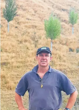  ?? ?? Mike Cranstone with poplar trees planted for erosion control under the Sustainabl­e Land Use Initiative.