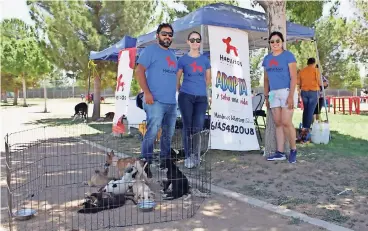  ?? ?? Cada domingo se instalan en la Deportiva Sur donde buscan acercarse a la población y fomentar la adopción