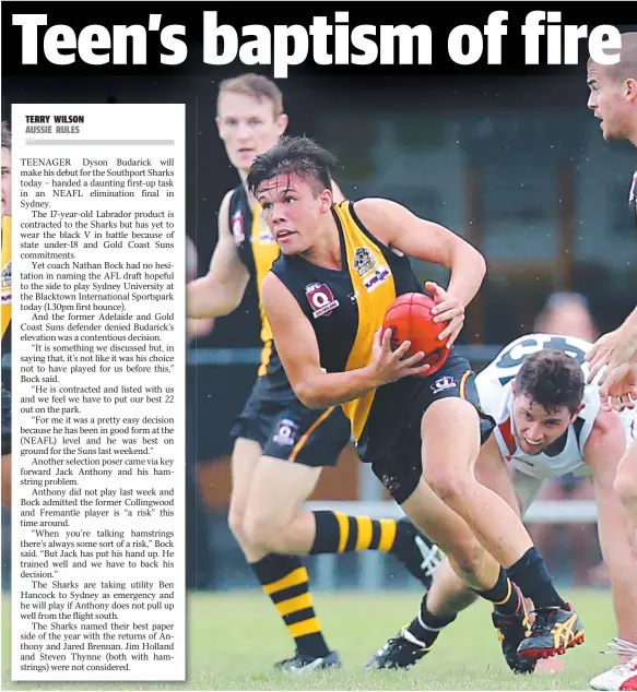  ?? Picture: RICHARD GOSLING ?? ON THE MOVE: Teenager Dyson Budarick will play for the Southport Sharks today in the NEAFL eliminatio­n final in Sydney.