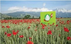  ?? BIOSUISSE ?? Bio Suisse vereinigt über 7000 Biobetrieb­e.