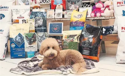  ?? AMY SUSSMAN THE ASSOCIATED PRESS ?? More than 4,500 new pet-food products were introduced last year, most of which were premium products.