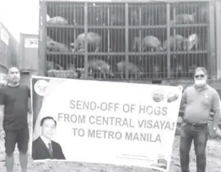  ?? FILE PHOTO COURTESY OF DA-7 ?? THIS undated photo shows the send-off of live hogs from Bohol province to Metro Manila. The Central Visayas region has been transporti­ng live hogs to augment the supply of pork in Metro Manila and in other regions amid the threat of African swine fever.