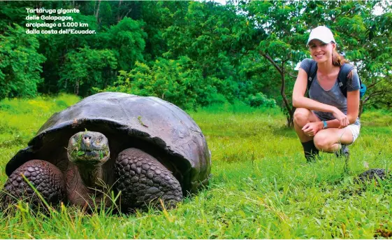  ??  ?? Tartaruga gigante delle Galapagos, arcipelago a 1.000 km dalla costa dell’Ecuador.