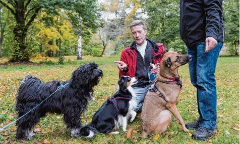  ?? Foto: Alexander Heinl, dpa ?? Hundepsych­ologe Jens Beyer mit einigen Vierbeiner­n bei der Arbeit: Der Experte rät verzweifel­ten Haltern zum Beispiel, ein Tagebuch zu führen.