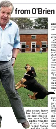  ??  ?? HAPPY: Michael Stoute at his stable ‘Freemasons Lodge’ in Newmarket with his canine companion Duke