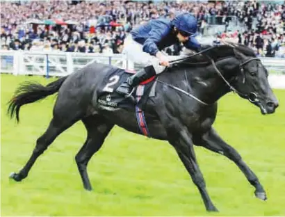  ??  ?? UNBEATEN. Carravagio has an excellent record but will face his biggest test when he lines up for the Group 1 July Cup at Newmarket on Saturday.