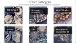  ??  ?? Nextstrain es un proyecto de código abierto para la colaboraci­ón entre investigad­ores. Permite compartir datos genéticos en la propagació­n de brotes virales.