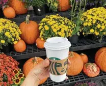  ?? Christina Tkacik / Tribune News Service ?? Researcher­s say the appeal of pumpkin spice-flavored items is less about the taste than the smell and its associatio­ns.
