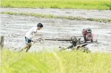  ??  ?? Using a farm tiller, this man plows the muddy rice field amid the scorching heat of the sun. With the distributi­on of farm machinerie­s in Aklan, the farm production­s are expected to increase and the cost of production, especially in labor, is minimized.