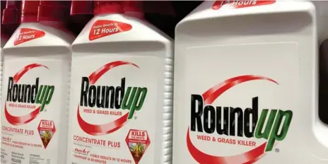  ??  ?? Un juge fédéral américain a décidé de ramener de 80,27 à 25,27 millions de dollars (de 71,29 millions à 22,44 millions d'euros) les indemnités dues par Bayer à un Californie­n qui a accusé le Roundup, herbicide à base de glyphosate de Monsanto, filiale du groupe allemand, d'être à l'origine de son cancer.