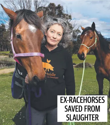  ?? ?? Emma Haswell with Ziggy and Dolly, former racehorses living at Brightside Farm Sanctuary. Picture: Nikki Davis-Jones