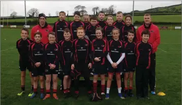  ??  ?? The Arklow under-12s ahead of their trip to the RDS.