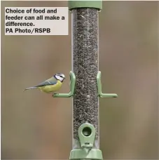  ?? PA Photo/RSPB ?? Choice of food and feeder can all make a difference.