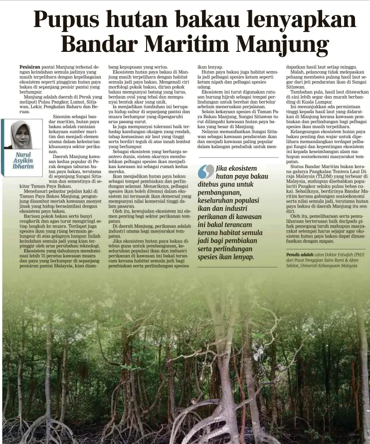 Bakau hutan malaysia paya di 11 Tempat