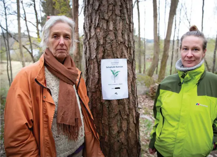  ?? FOTO: VEGARD DAMSGAARD ?? – Vi går jo ikke oppi hagen til folk, så jeg synes det var merkelig. Og det er jo plenty av ramsløk her, sier Marit Grendstad (t.v.).