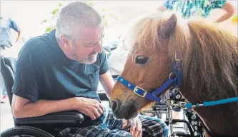  ?? JULIE JOCSAK THE ST. CATHARINES STANDARD ?? Wayne Compton gets a few moments with Chewy, a miniature pony from last Chance Horse and Pony Rescue in Crystal Beach, earlier this year at Welland hospital. The rescue group is holding a fundraiser this weekend.