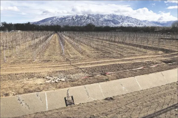  ?? PHOTO BY SUSAN MONTOYA BRYAN/ASSOCIATED PRESS ?? THIS FEB. 17 FILE PHOTO SHOWS AN EMPTY IRRIGATION CANAL at a tree farm in Corrales, N.M., with the Sandia Mountains in the background, as much of the West is mired in drought, with New Mexico, Arizona, Nevada and Utah being among the hardest hit. The National Oceanic and Atmospheri­c Administra­tion’s official spring outlook Thursday sees an expanding drought with a drier than normal April, May and June for a large swath of the country from Louisiana to Oregon. including some areas hardest hit by the most severe drought. And nearly all of the continenta­l United States is looking at warmer than normal spring, except for tiny parts of the Pacific Northwest and southeast Alaska, which makes drought worse.