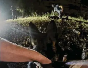  ?? Old Saybrook Police body camera footage / Contribute­d screenshot ?? A screenshot from body camera footage shows Officer Tyler Schulz holding his police dog after it bit Edward Riccio during an encounter in Nov. 2019.